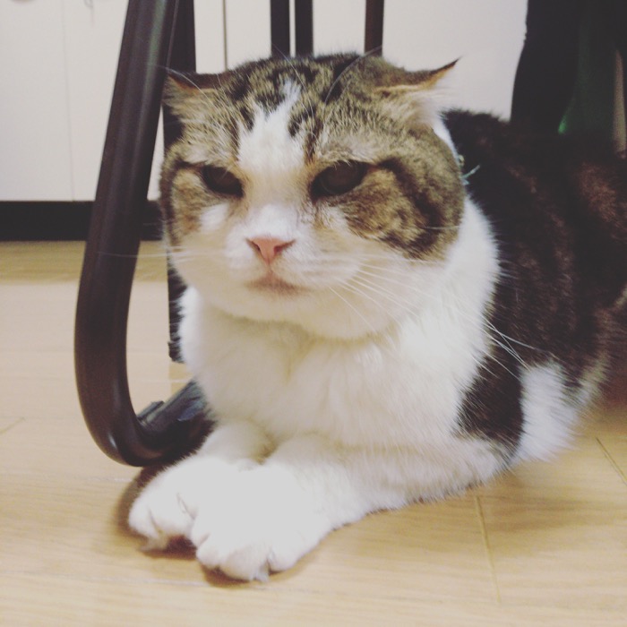 ブログ再始動です